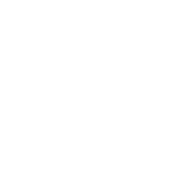 SEO Icon