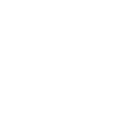 Social Media Icon